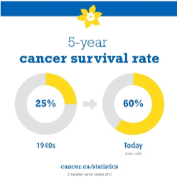 Cancer Survival Rate Pie Chart